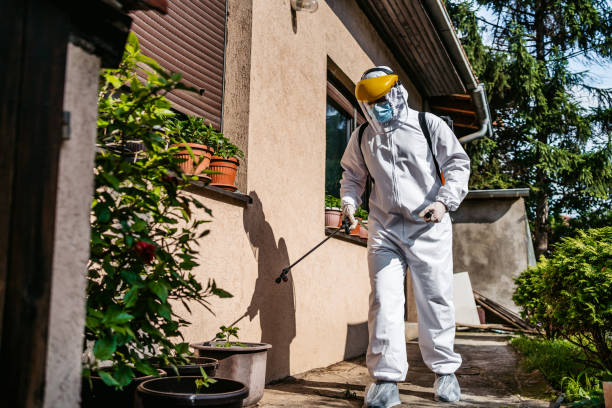 Best Local Pest Control Services  in Adams, WI